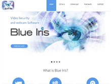 Tablet Screenshot of blueiris.pro